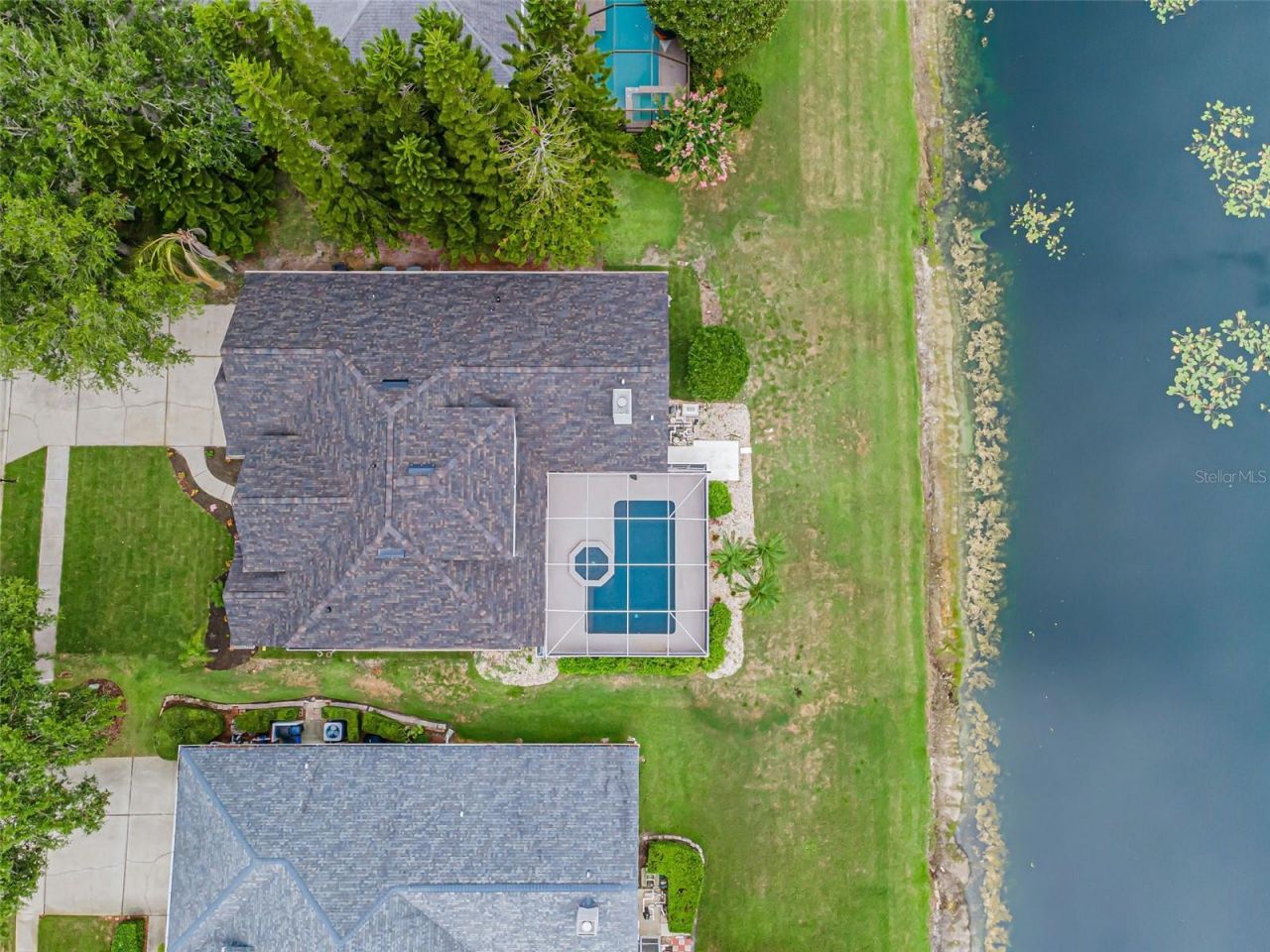 4084 Ligustrum Drive , Palm Harbor, FL 34685 Photo
