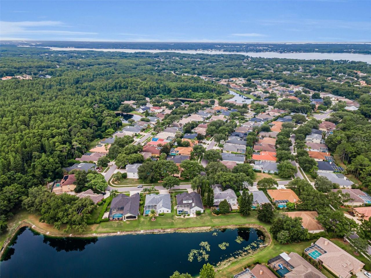 4084 Ligustrum Drive , Palm Harbor, FL 34685 Photo