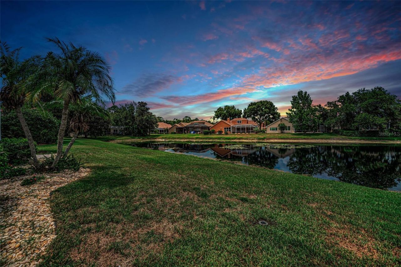 4084 Ligustrum Drive , Palm Harbor, FL 34685 Photo