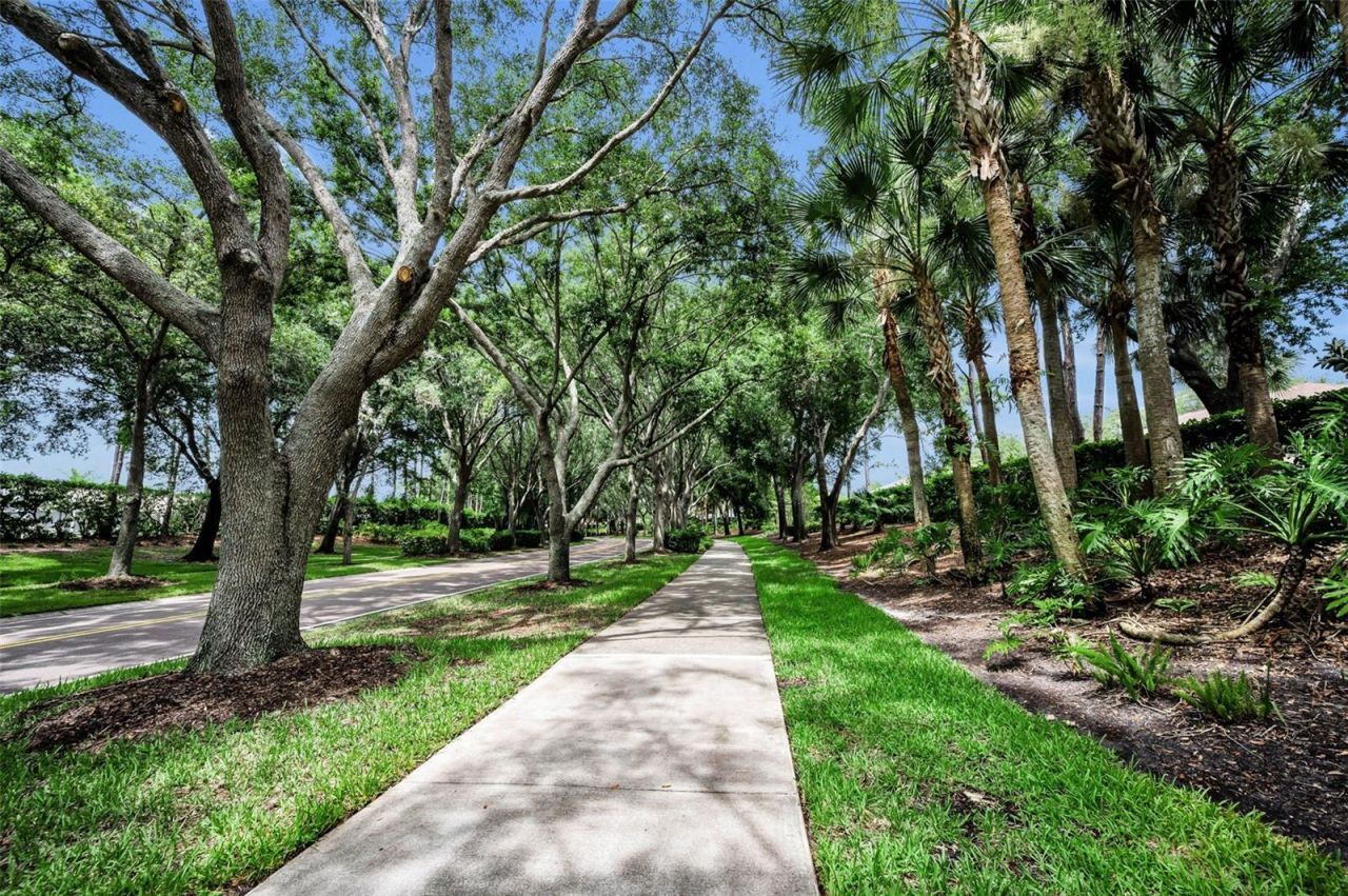 4084 Ligustrum Drive , Palm Harbor, FL 34685 Photo