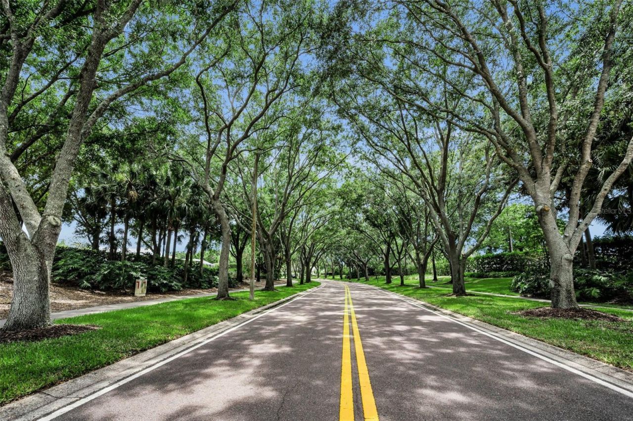 4084 Ligustrum Drive , Palm Harbor, FL 34685 Photo