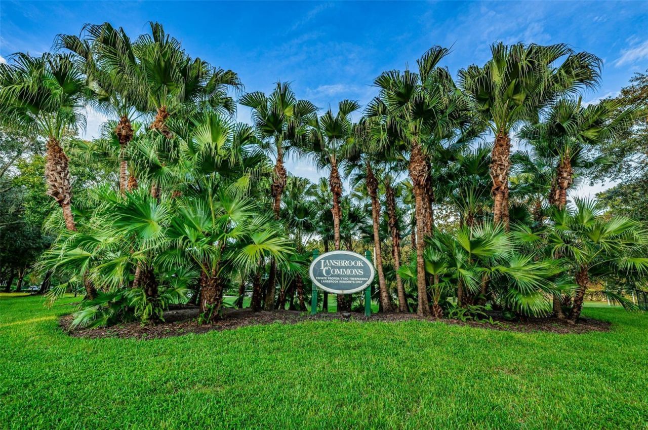 4084 Ligustrum Drive , Palm Harbor, FL 34685 Photo