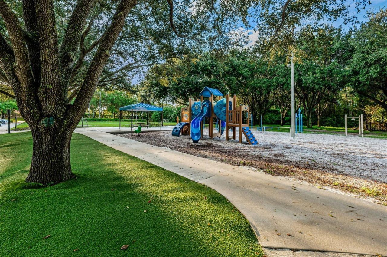 4084 Ligustrum Drive , Palm Harbor, FL 34685 Photo