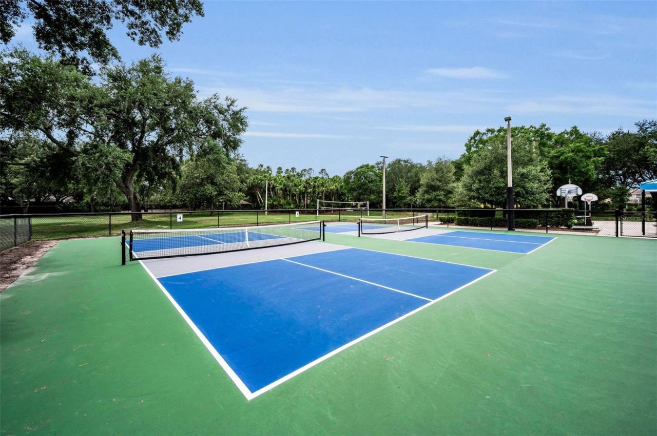 4084 Ligustrum Drive , Palm Harbor, FL 34685 Photo