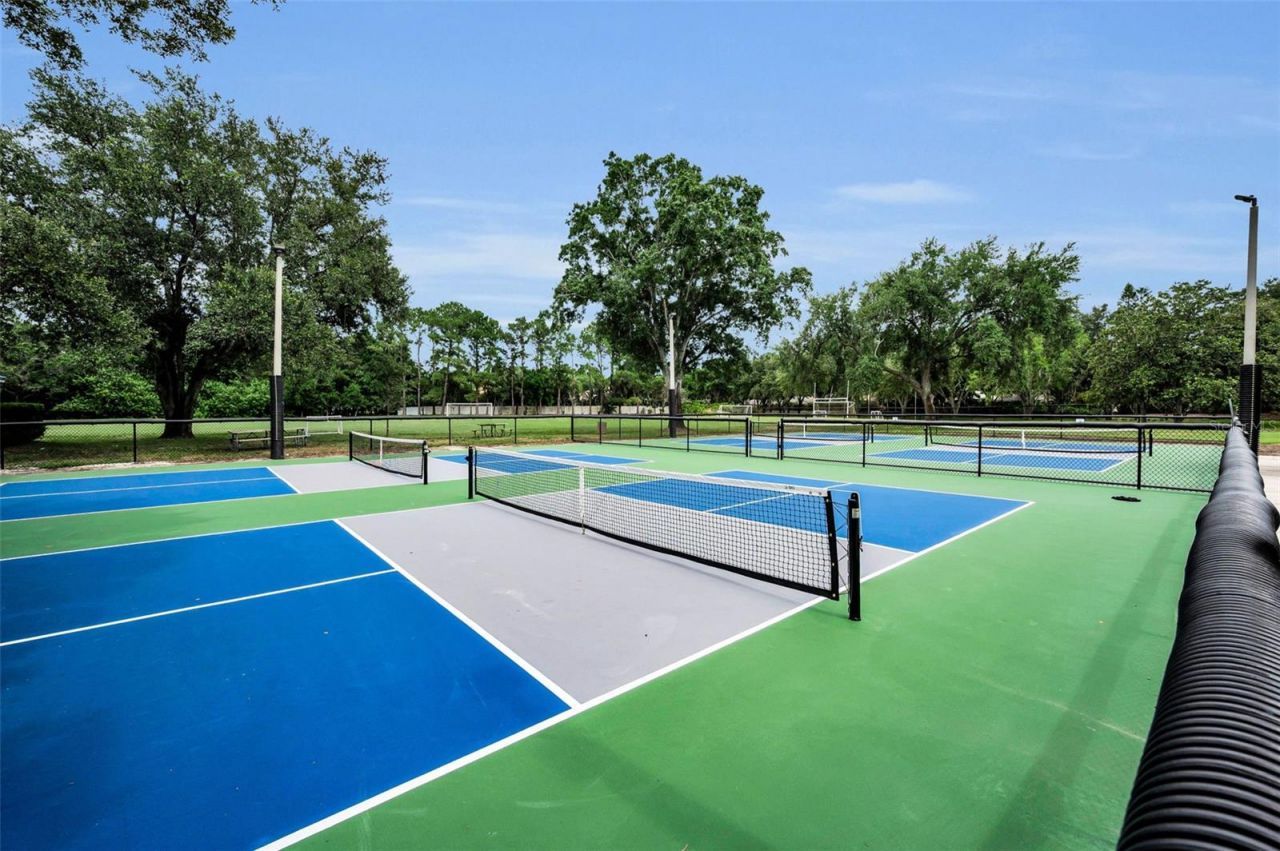 4084 Ligustrum Drive , Palm Harbor, FL 34685 Photo