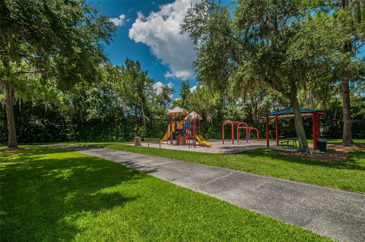 4084 Ligustrum Drive , Palm Harbor, FL 34685 Photo