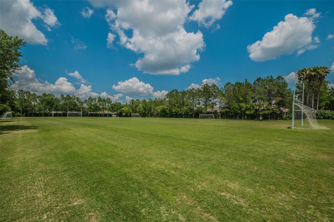 4084 Ligustrum Drive , Palm Harbor, FL 34685 Photo
