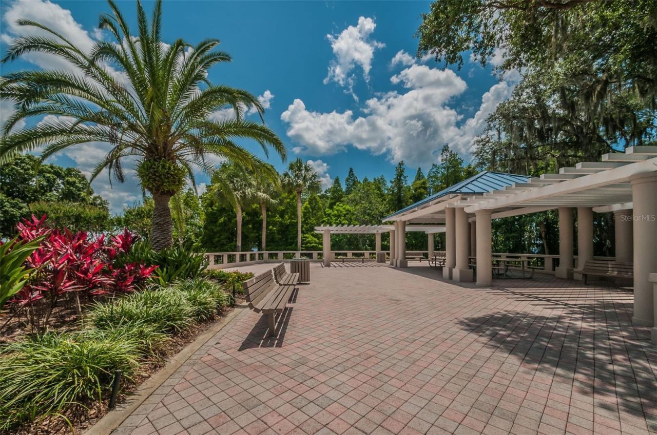 4084 Ligustrum Drive , Palm Harbor, FL 34685 Photo