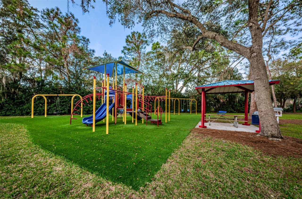 4084 Ligustrum Drive , Palm Harbor, FL 34685 Photo