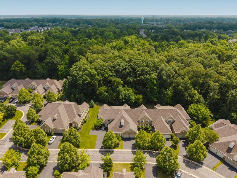 9358 Pratolino Villa Drive, Unit 9358, Dublin, OH 43016 Photo 91