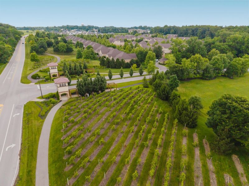 9358 Pratolino Villa Drive, Unit 9358, Dublin, OH 43016 Photo 95