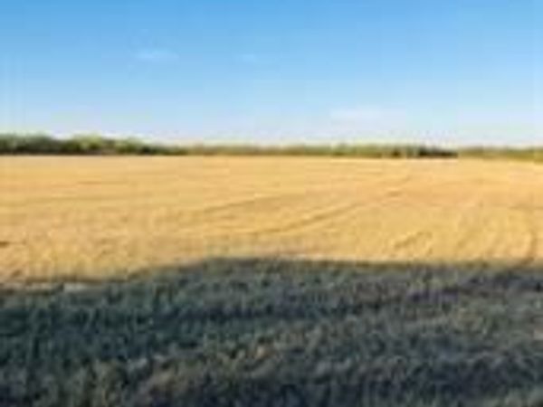TBD FARM MARKET 142 , Lueders, TX 79533