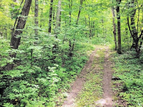 S5784 County Road D, Rock Springs, WI 53961