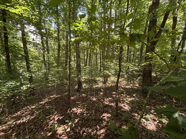 0 Sussex Road, Dayton, TN 37321