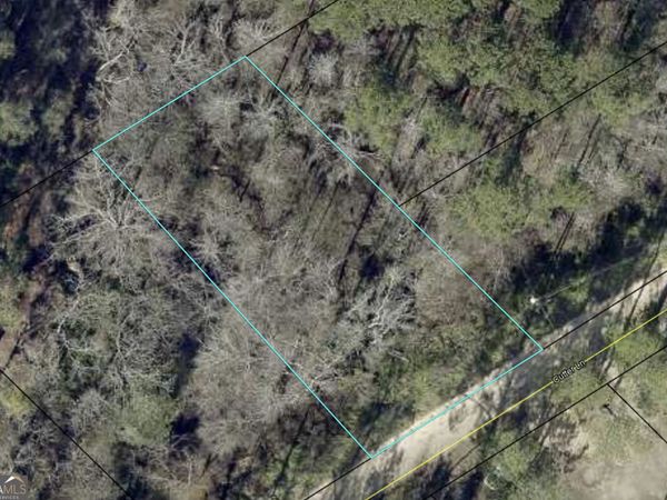 0 Cutter Lane, Sylvania, GA 30467
