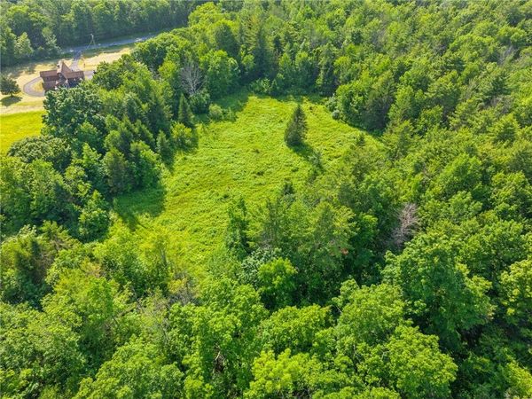 Guinea Road, Middleburgh, NY 12122