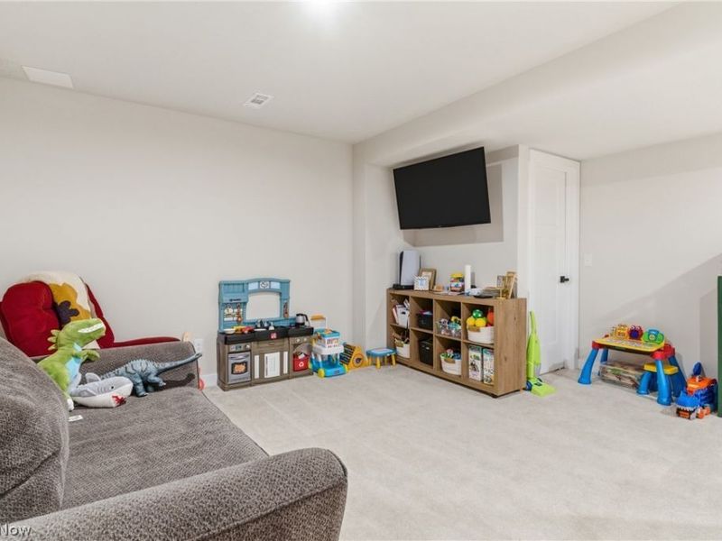11121 Magnolia Road, Columbia Station, OH 44028 Photo 42