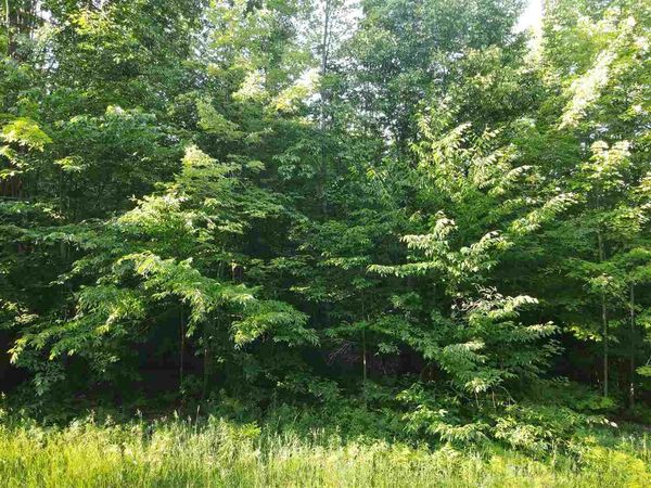O MONTROSE Drive, Unit Lot 97, Mancelona, MI 49659