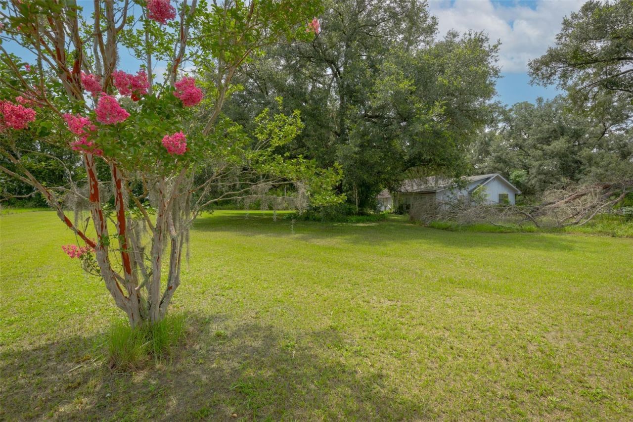 276 SW Tabernacle Glen , Lake City, FL 32025 Photo