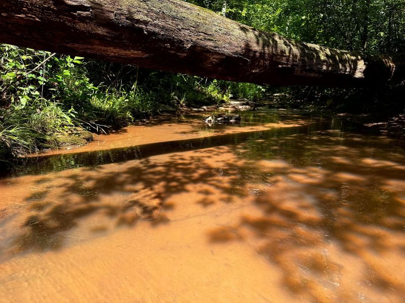 0 Barr Hollow Road , Unit (Ohio Rive, Reedsville, OH 45772 Photo 19