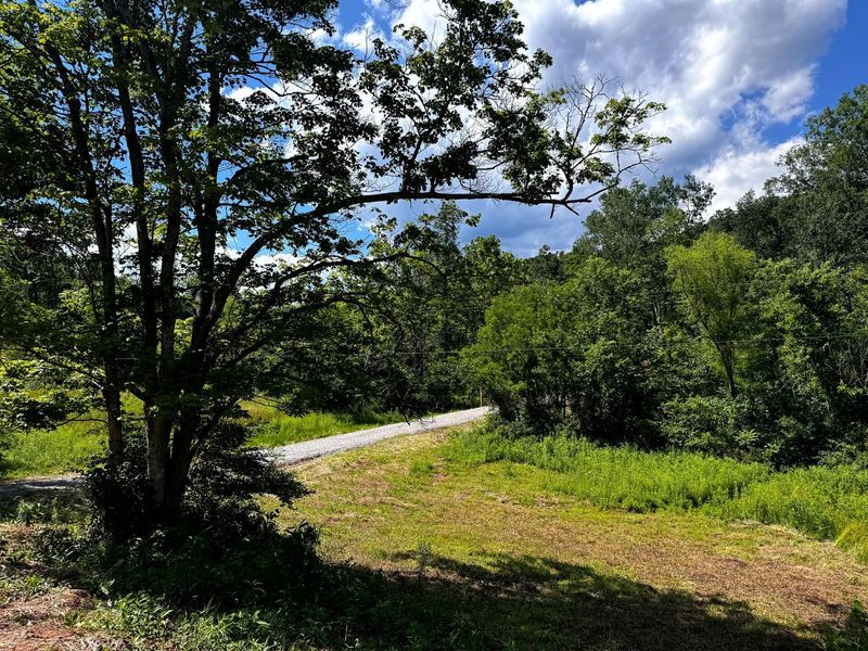 0 Barr Hollow Road , Unit (Ohio Rive, Reedsville, OH 45772 Photo 26