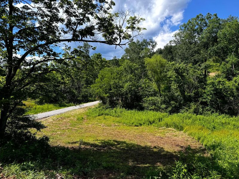 0 Barr Hollow Road , Unit (Ohio Rive, Reedsville, OH 45772 Photo 27