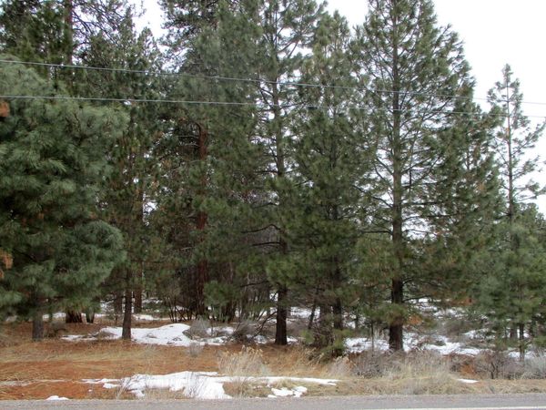 3525 Cayuse Circle, Chiloquin, OR 97624