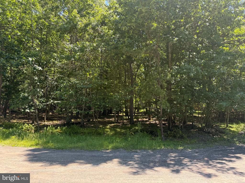 0 WILDWOOD LANE, CANADENSIS, PA 18325