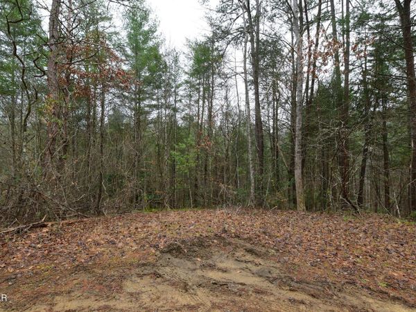 23 Alpine Ridge Way, Unit 23, Sevierville, TN 37876