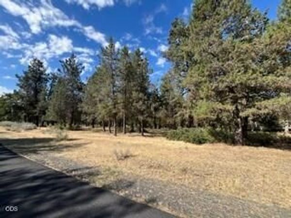 0 Osprey Lane, Unit Lot 234, Klamath Falls, OR 97601