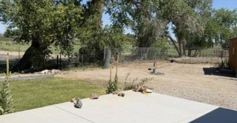 2195 Old River Road, Fallon, NV 89406 Photo