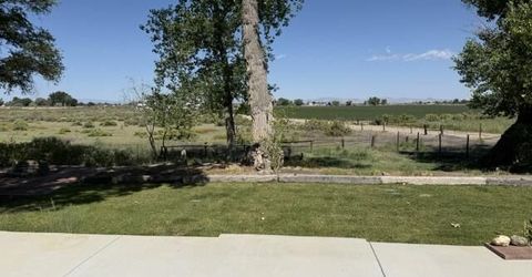 2195 Old River Road, Fallon, NV 89406 Photo