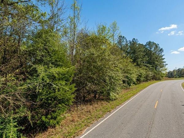 0 Old Franklin Road, Tuskegee, AL 36083