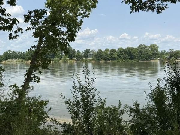 330 NASH LANDING LN, Counce, TN 38326
