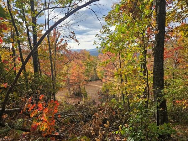 0 Shell Creek Road , Ferguson, NC 28624