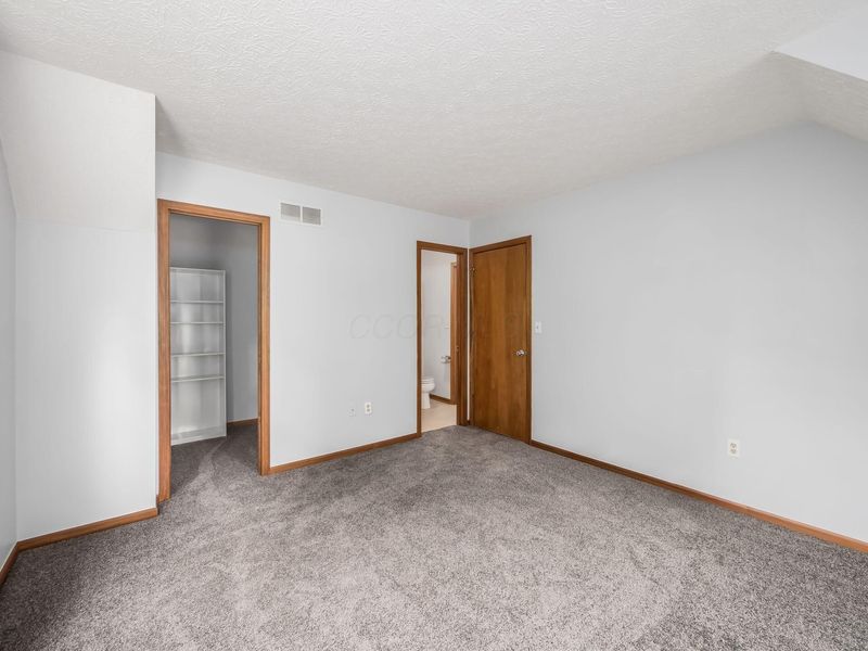 106 E Muskingum Drive, Powell, OH 43065 Photo 25