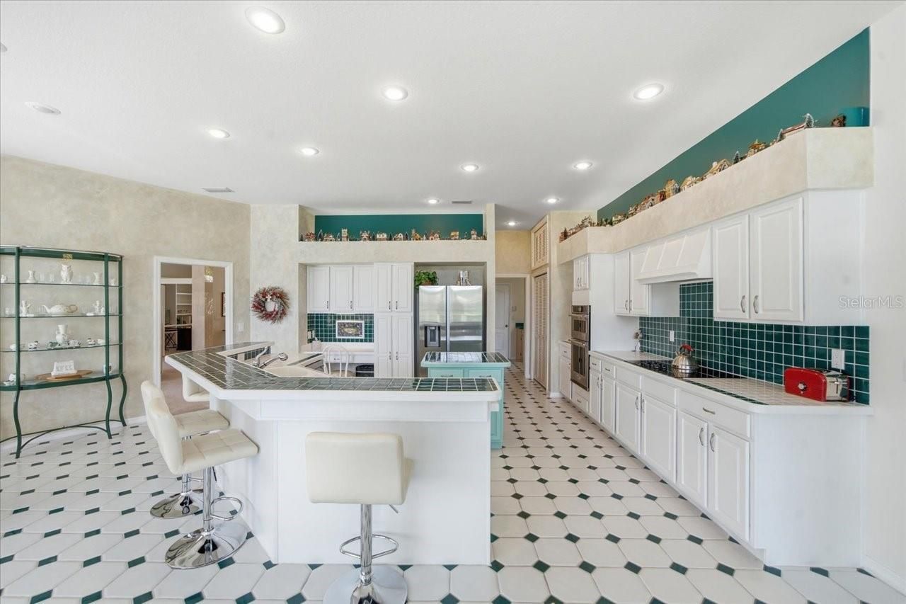 85 Kelleys Trail, Oldsmar, FL 34677 Photo
