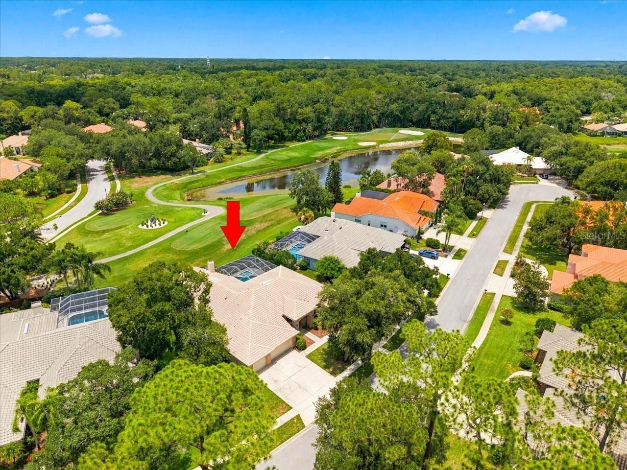 85 Kelleys Trail, Oldsmar, FL 34677 Photo