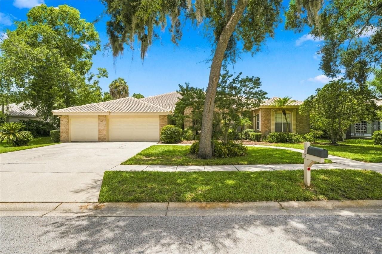 85 Kelleys Trail, Oldsmar, FL 34677 Photo