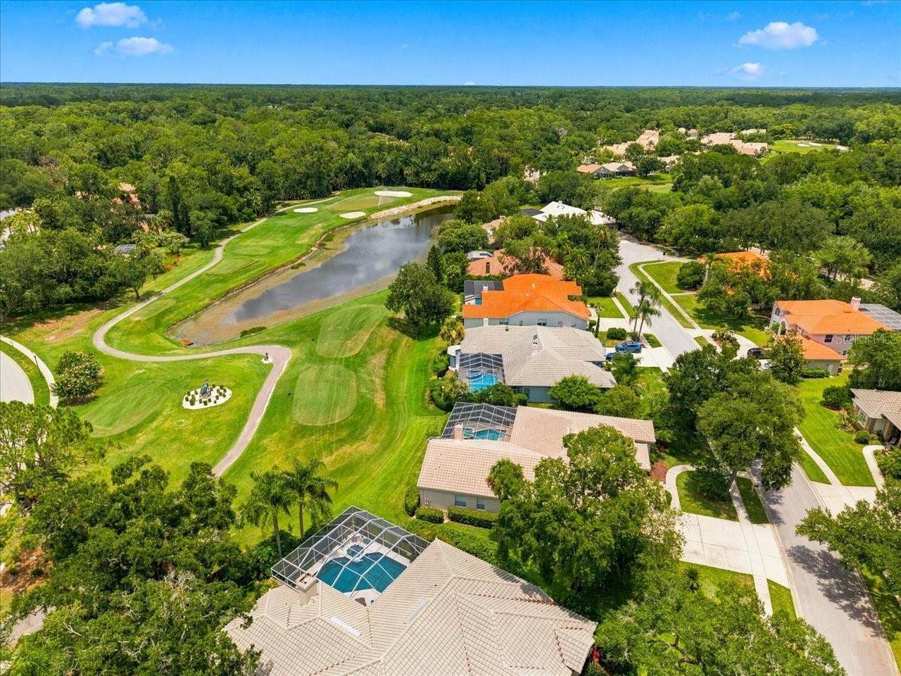 85 Kelleys Trail, Oldsmar, FL 34677 Photo