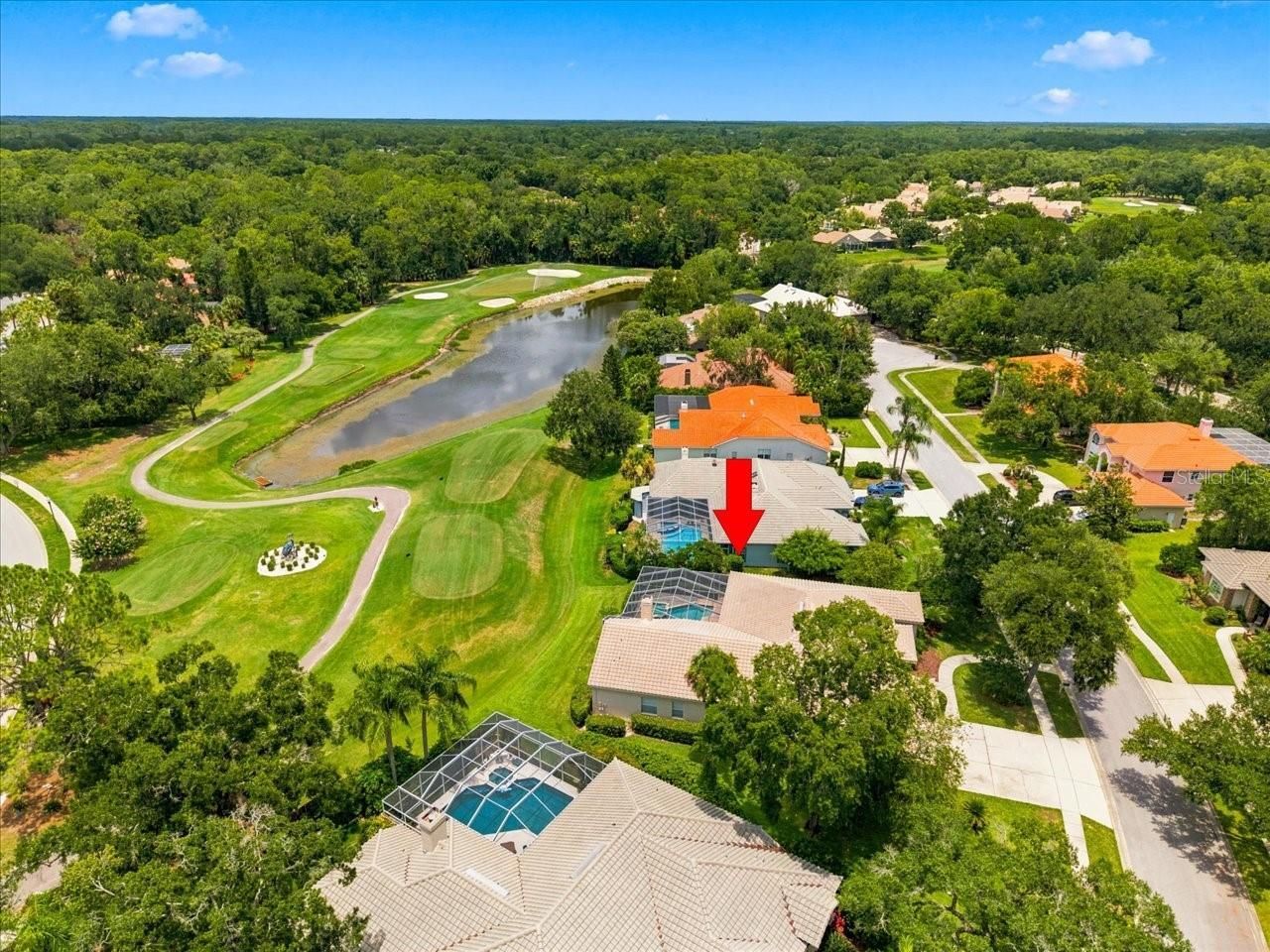 85 Kelleys Trail, Oldsmar, FL 34677 Photo