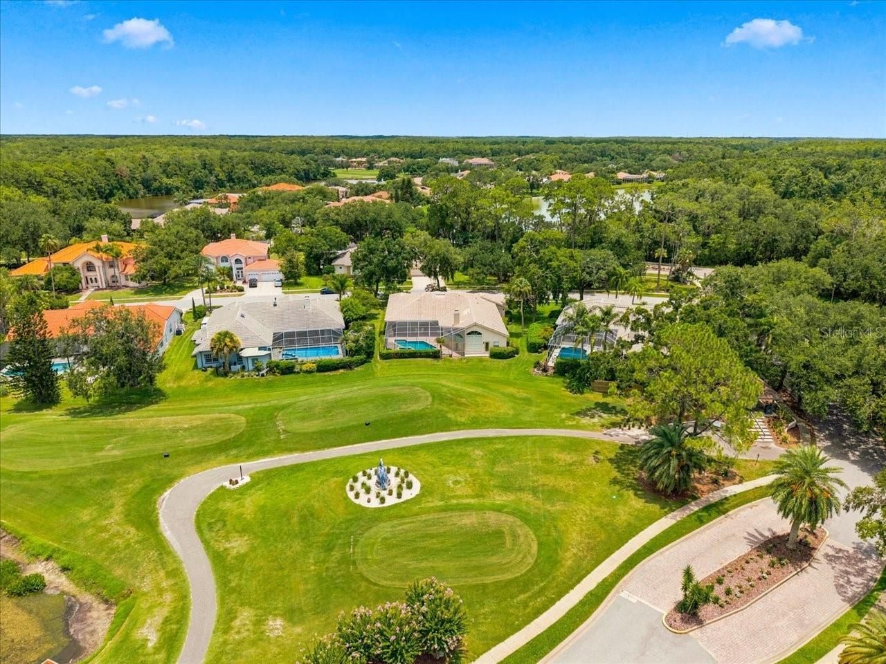 85 Kelleys Trail, Oldsmar, FL 34677 Photo