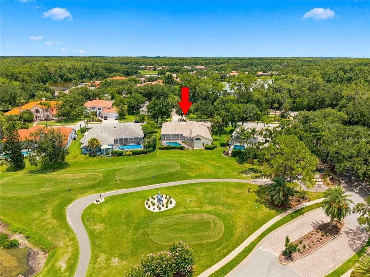 85 Kelleys Trail, Oldsmar, FL 34677 Photo