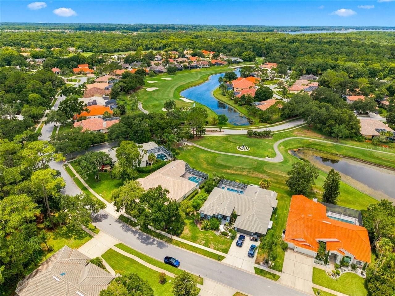 85 Kelleys Trail, Oldsmar, FL 34677 Photo