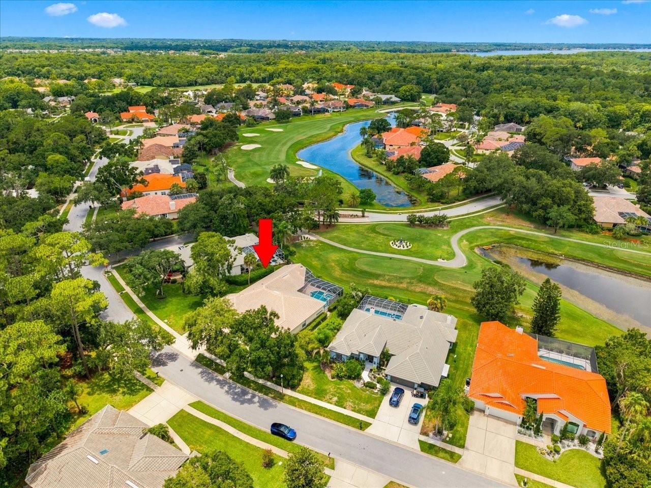 85 Kelleys Trail, Oldsmar, FL 34677 Photo