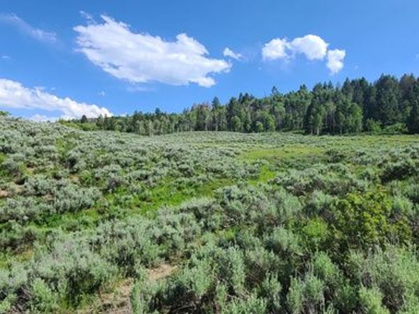 22991 E ALTA DR S, Unit C11, Spanish Fork, UT 84660