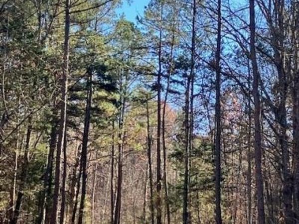254 Madison CR 410 , Fredericktown, MO 63645