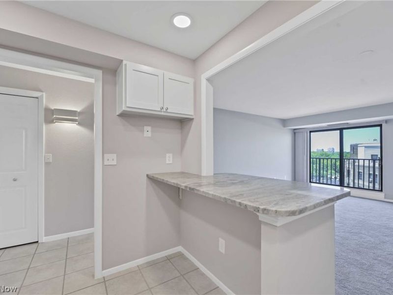 12500 Edgewater Drive, Unit 1206, Lakewood, OH 44107 Photo 8