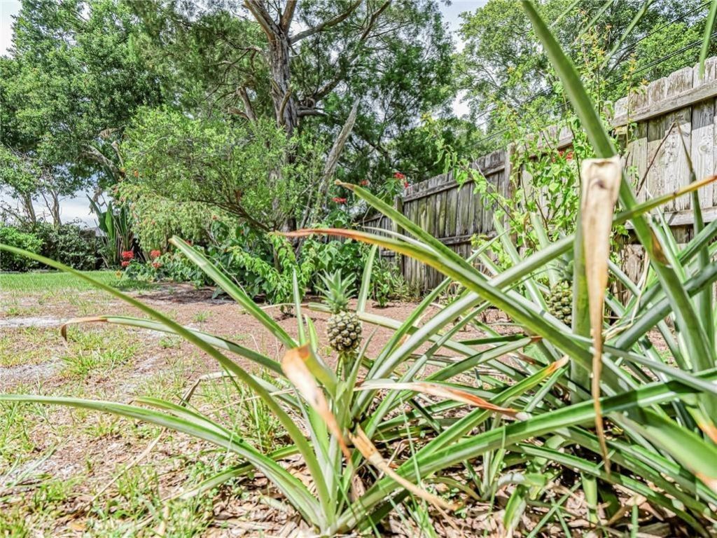 425 Banyan Street, Sebastian, FL 32958 Photo