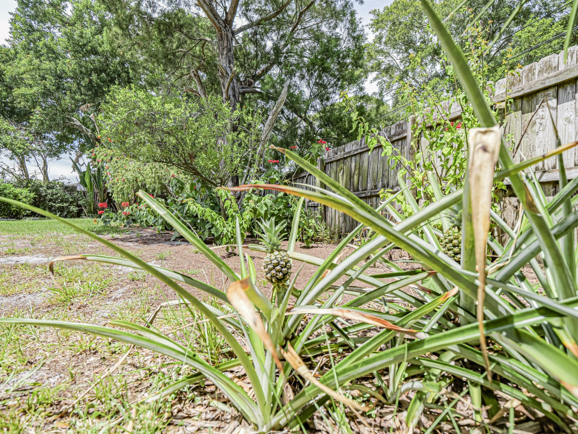 425 Banyan Street, Sebastian, FL 32958 Photo